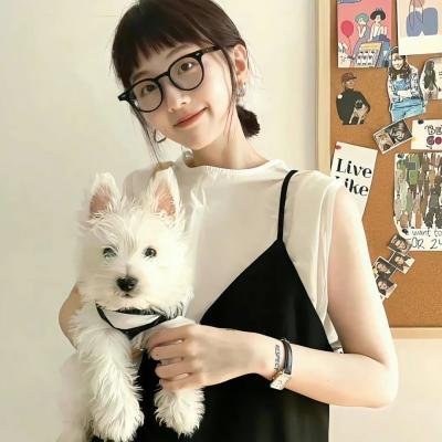 奇怪的猫咪